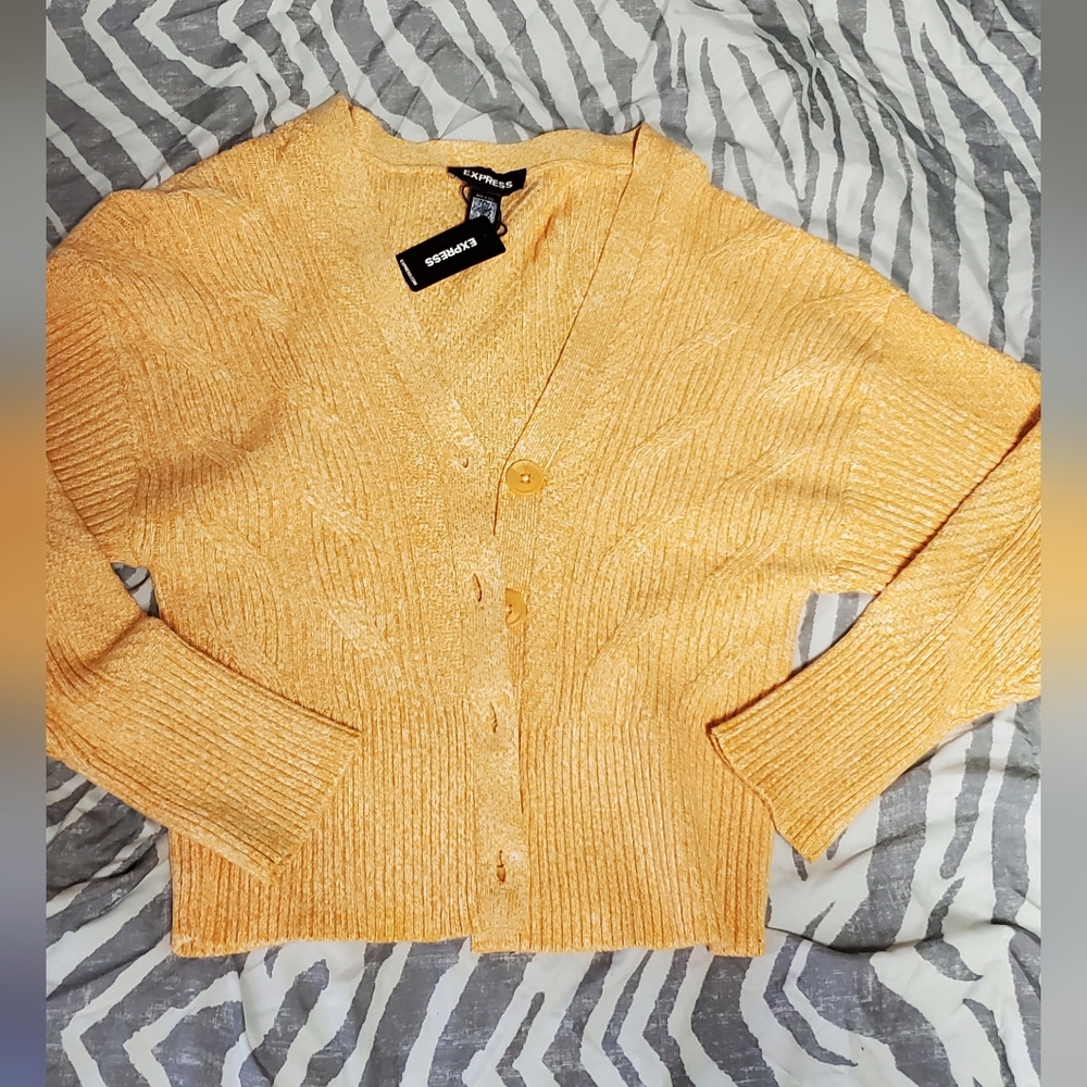 Express Orange / Rust Sweater | Matching Set Piece | Women’s Size M